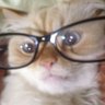 Profilbild von CeleX