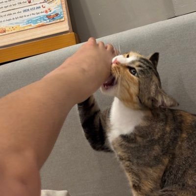 bdkrixjjj's profile picture