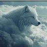 Mishka 72's profile picture