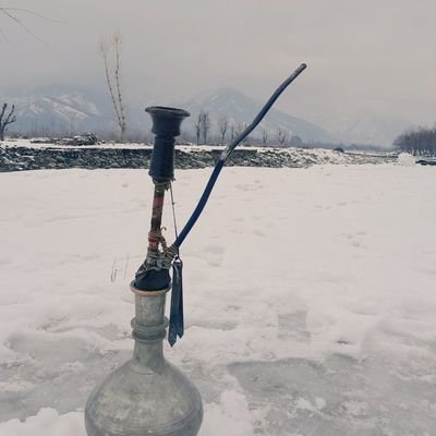 Bunkerrr's profile picture