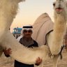 بندر برجس العصلب 的头像