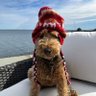 TRLV #1's profile picture