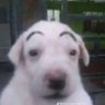 Profilbild von SCR8710