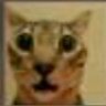 Profilbild von duda