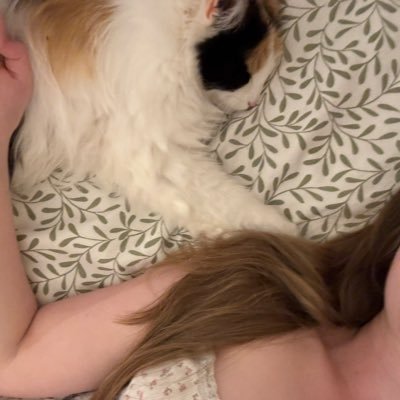 veryangelberry's profile picture