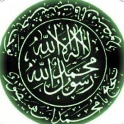Serdar Mercan's profile picture