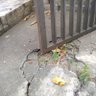 Achsan Khan profil fotoğrafı