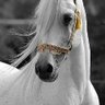 Фото профиля hana