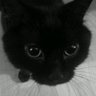 M’'s profile picture