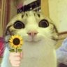castorr__'s profile picture