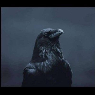 salioumbackefa1's profile picture