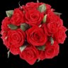 Rose 的头像