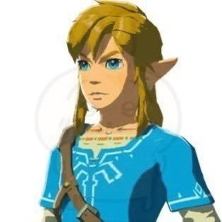 Link's profile picture