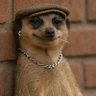 Profilbild von Mojay