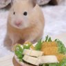 Cami's profile picture