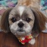 藤本　勝🍊's profile picture