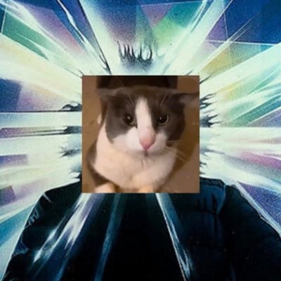 Soggy Cat enjoyer's profile picture