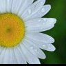 Фото профиля Veronica Navia