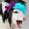 🧁Acid Agony🍀's profile picture