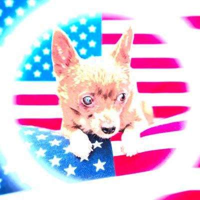 MAGA’s the Fix™'s profile picture