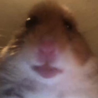 hope hopes hoping's profile picture