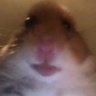 hope hopes hoping's profile picture