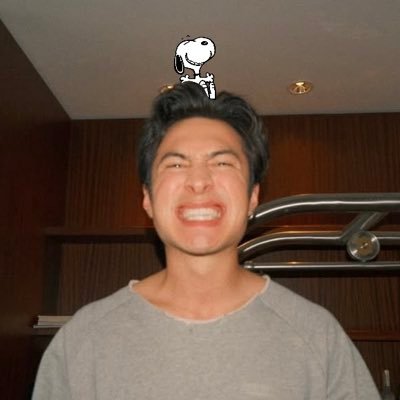 hudsnoopy's profile picture