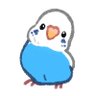 よしぴぃ's profile picture