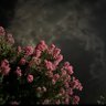 هـنآء's profile picture