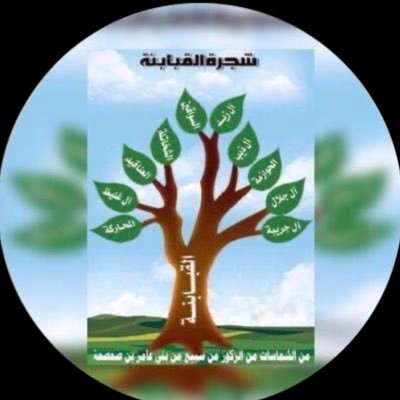 alqbabnh's profile picture