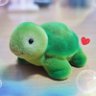 みきてぃ*♡🐢💖 profil fotoğrafı