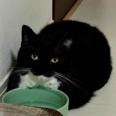 drucitvxdjm7j's profile picture