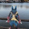 バルちゃん profil fotoğrafı