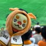 🐰⚾️OTo-Kam.com🏀🐻 的头像