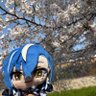 Profilbild von ちゃる🐧💙▷
