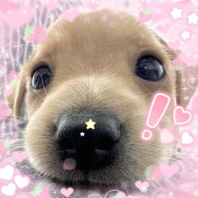 averybunbun's profile picture