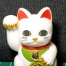 Profilbild von 金子キティ