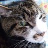 Profilbild von R