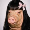 MermaidSyndrome profil fotoğrafı