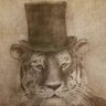 Profilbild von RevDodd