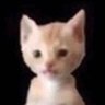 Profilbild von mi pana miguel