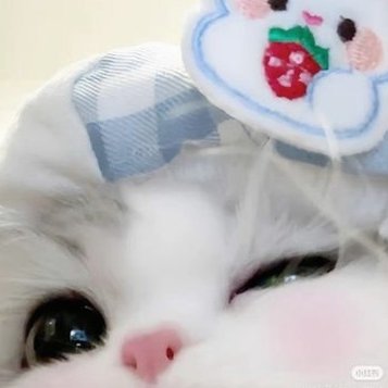Fatma98122730's profile picture
