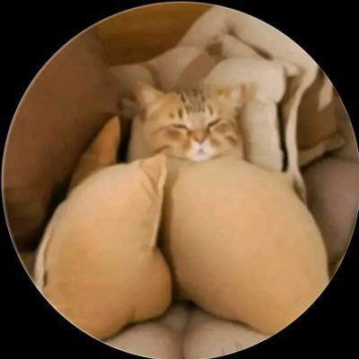 mandisa's profile picture