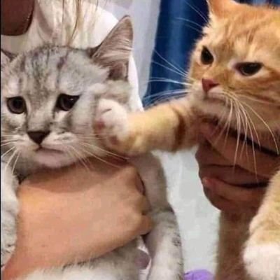 Khaotung_w's profile picture
