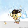 あっくん🐯⚾️　🐱🦈's profile picture