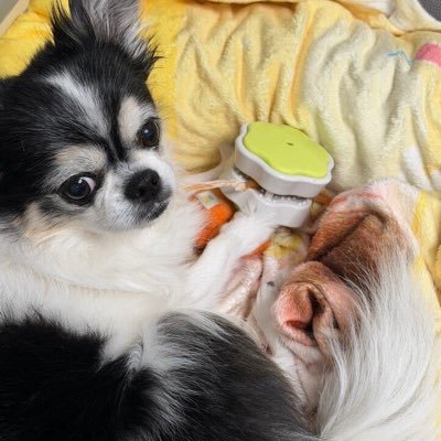 akiralynn72c's profile picture
