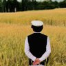 Profilbild von Abdullah Pashteen