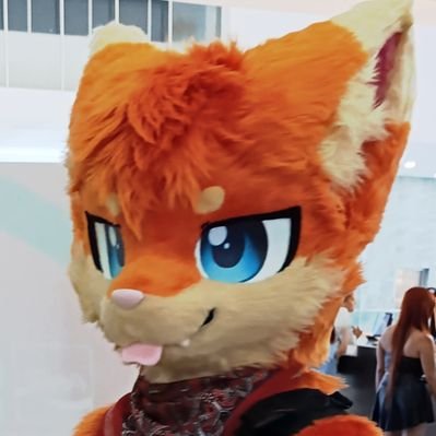 PatitasVelocez's profile picture
