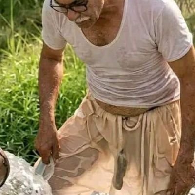 paridayi555's profile picture