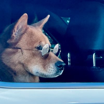 JH의메모's profile picture